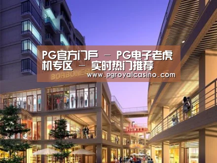 案例展示一