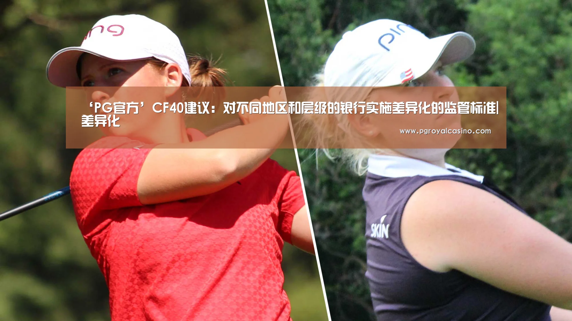 ‘PG官方’CF40建议:对不同地区和层级的银行实施差异化的监管标准|差异化(图1) PG官方