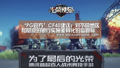 ‘PG官方’CF40建议:对不同地区和层级的银行实施差异化的监管标准|差异化(图4) PG推荐