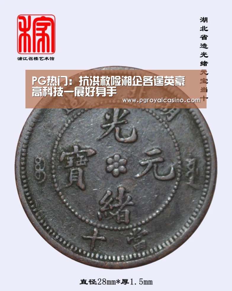 PG热门:抗洪救险湘企各逞英豪 高科技一展好身手(图2) PG推荐