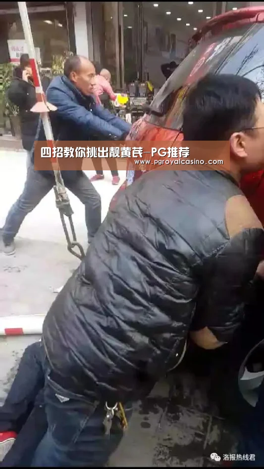四招教你挑出靓黄芪-PG推荐(图1) PG推荐