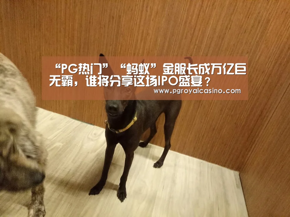 PG推荐