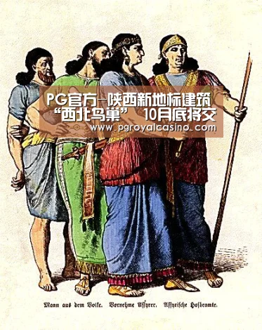 PG官方-陕西新地标建筑“西北鸟巢” 10月底将交付使用(图1) PG推荐
