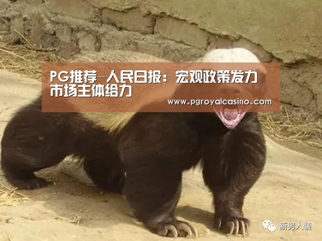 PG推荐-人民日报:宏观政策发力 市场主体给力(图1) PG推荐
