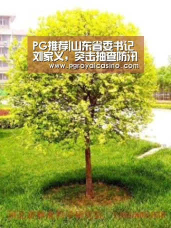 PG推荐|山东省委书记刘家义,突击抽查防汛值守情况(图4) PG官方